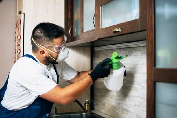 Best Commercial Pest Control Services  in Kenwood Estates, FL