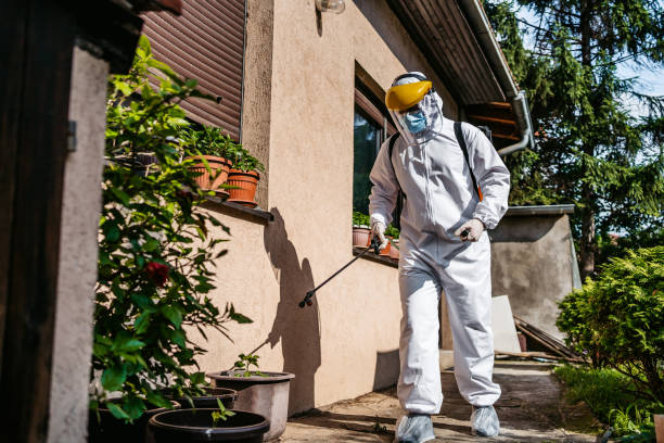 Best Pest Control for Homes  in Kenwood Estates, FL