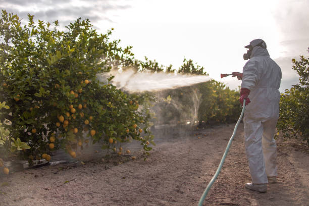 Kenwood Estates, FL Pest Control Company