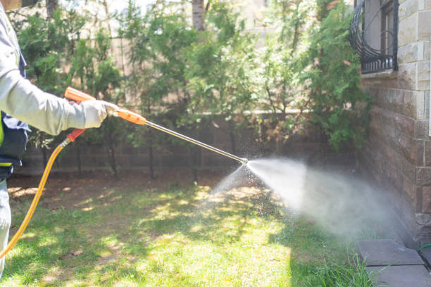 Best Termite Control Services  in Kenwood Estates, FL