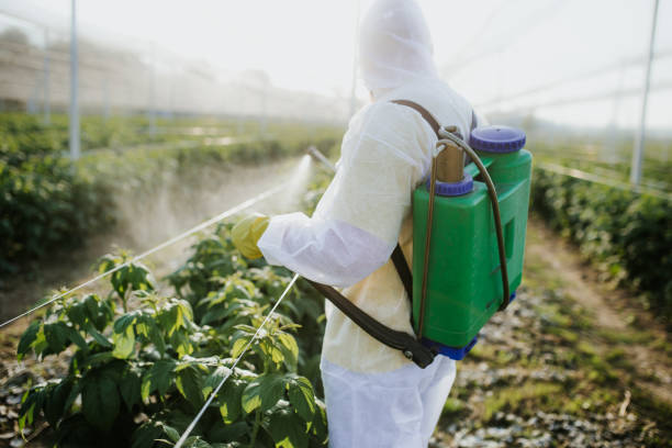 Best Pest Control for Restaurants  in Kenwood Estates, FL